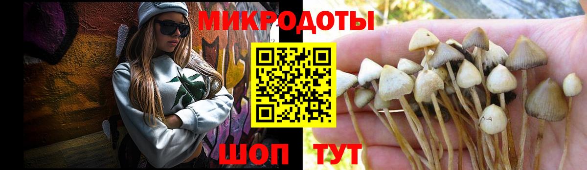 Галлюциногенные грибы Cubensis Тула