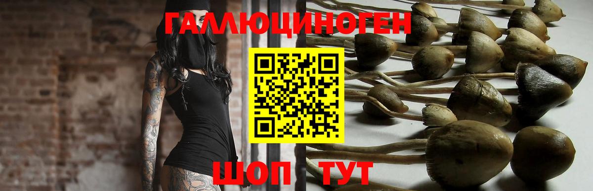 Тула  где купить наркотик  Псилоцибиновые грибы ЛСД  Вход с VPN  Галлюциногенные грибы GOLDEN TEACHER 